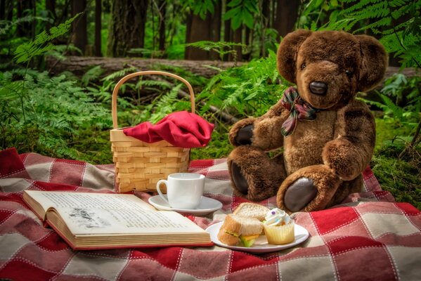 Плюшевый мишка на природе с книгой