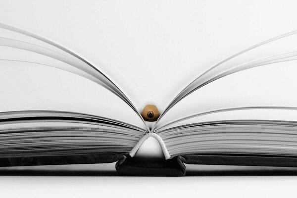 Открытая книга на светлом фоне с чёрным переплетом и карандашом