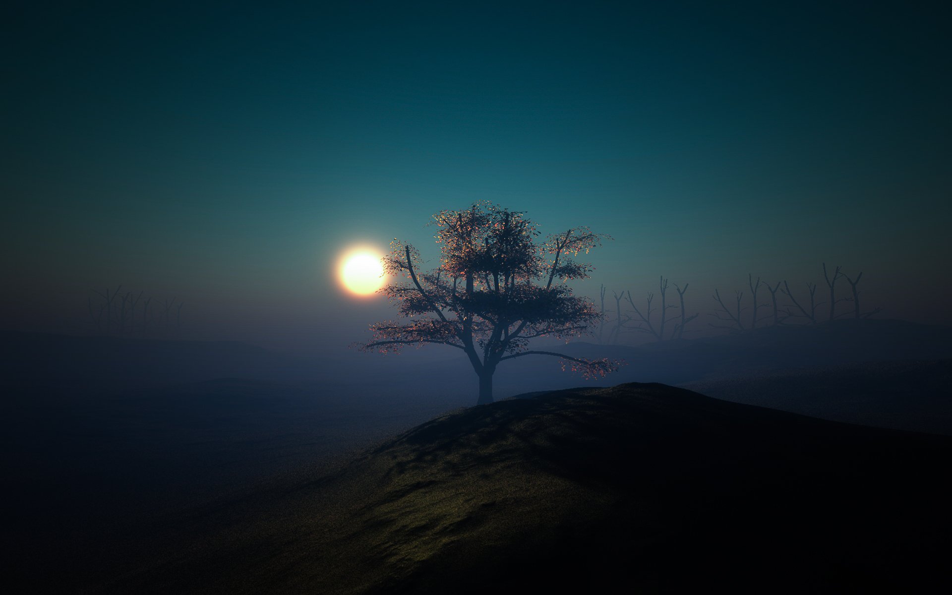 дерево холм луна свет ночь минимализм