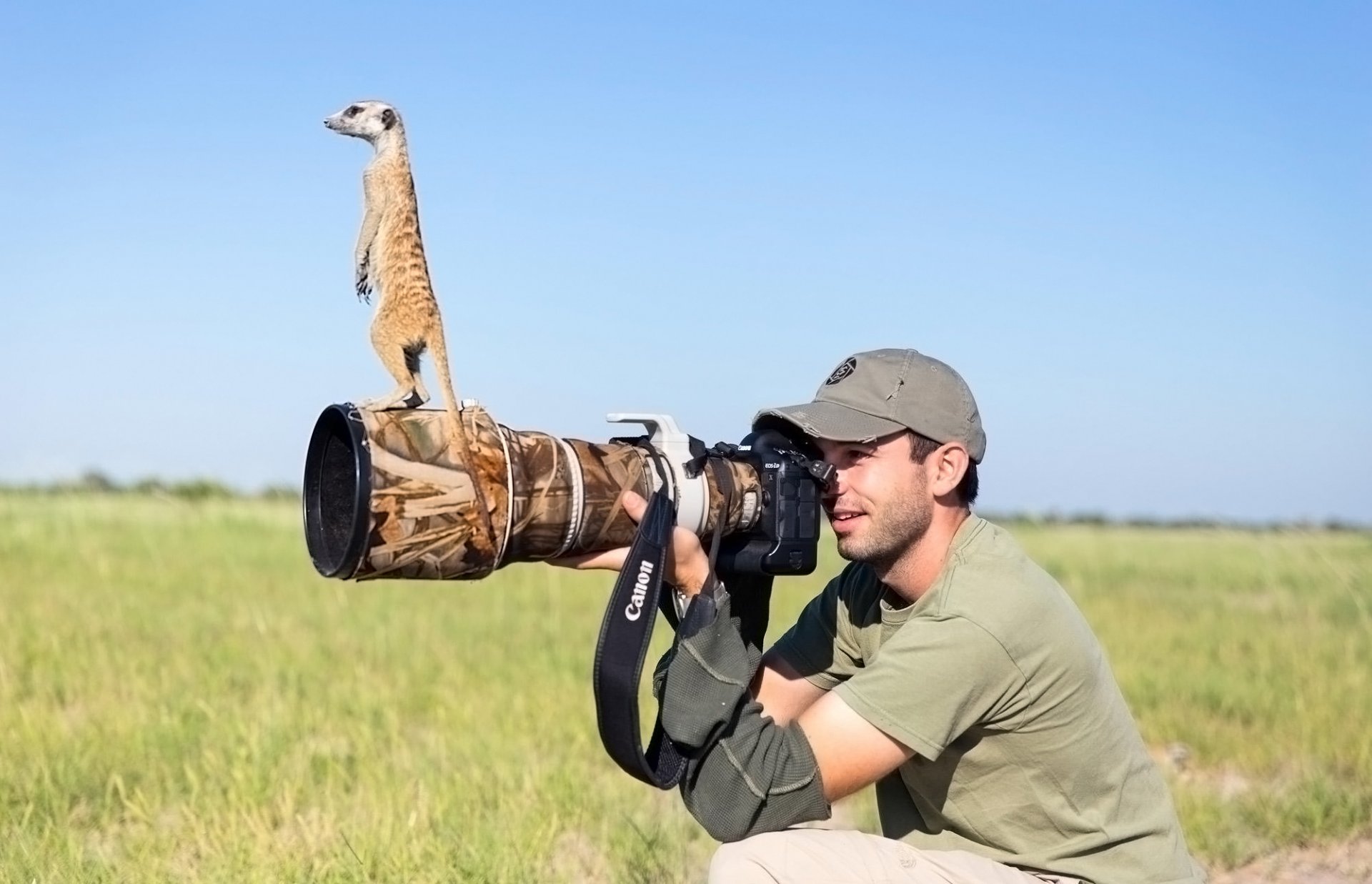 фотограф сурикат объектив