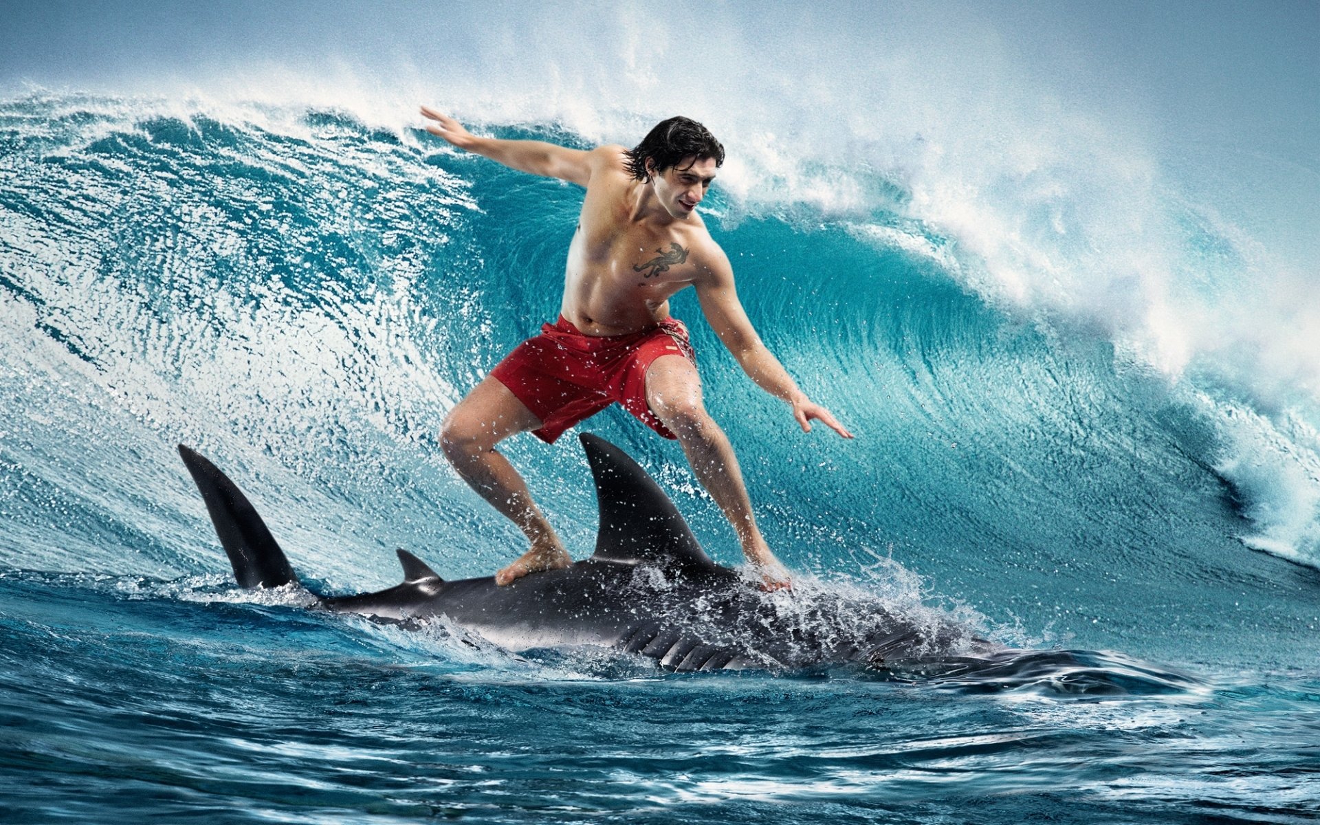 facet rekin surfing fala