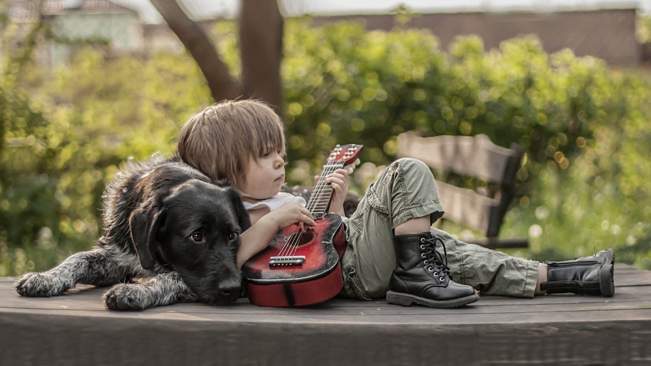 собака мальчик друзья гитара ботинки