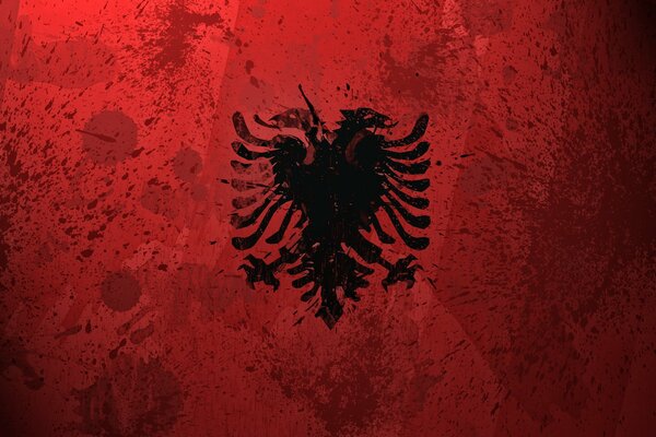 Flaga Albanii na czerwonym tle