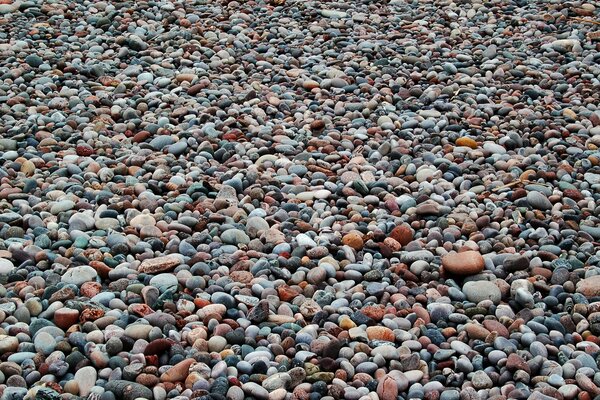 Wiele małych kamieni na plaży w wiosce