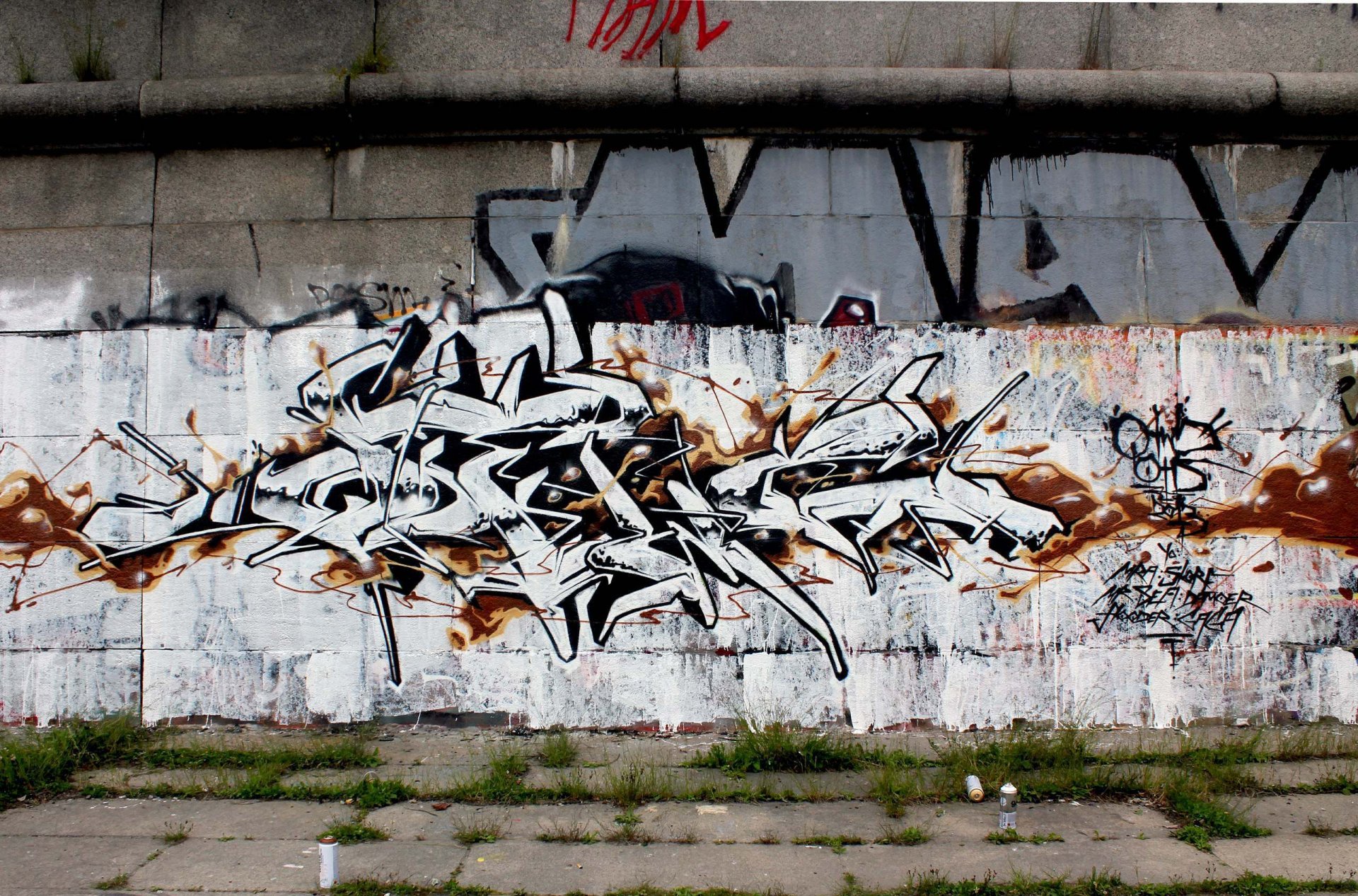graffiti q2 odt dzikiego typu ściana