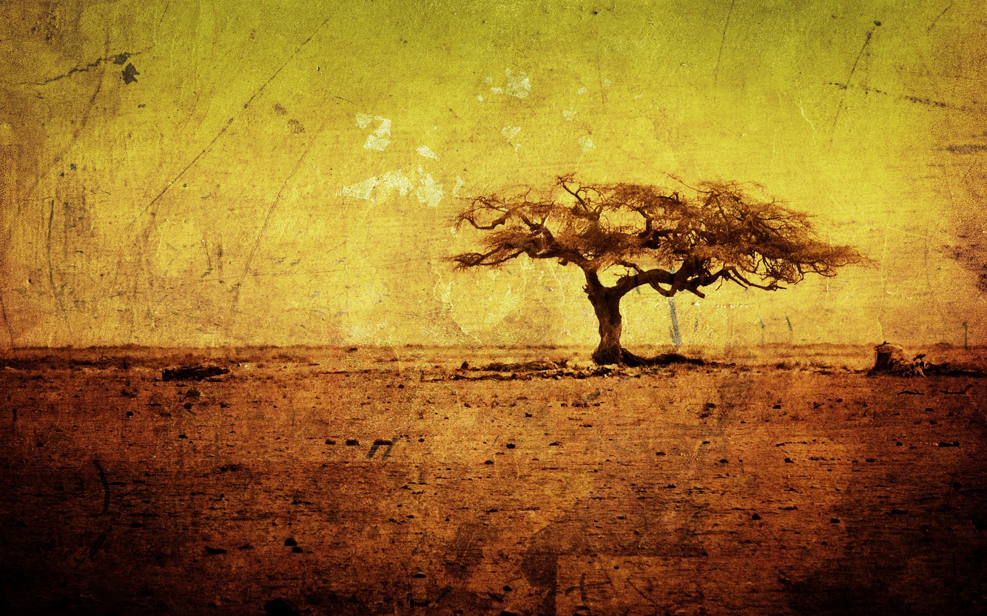 текстура текстуры дерево деревья африка грязь жара минимализм арт рисунок рисунки