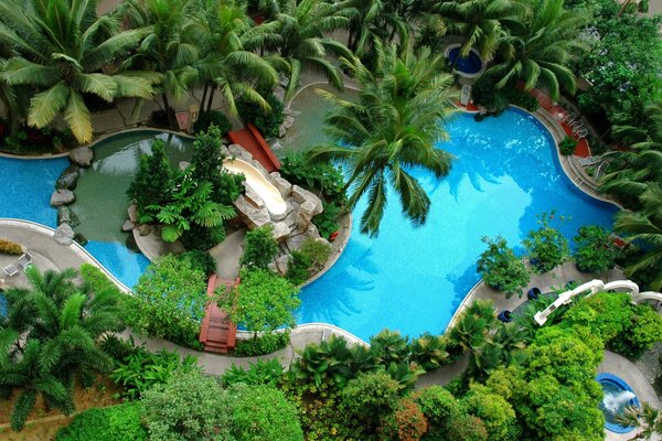 Piękny wygląd z palmami w jacuzzi