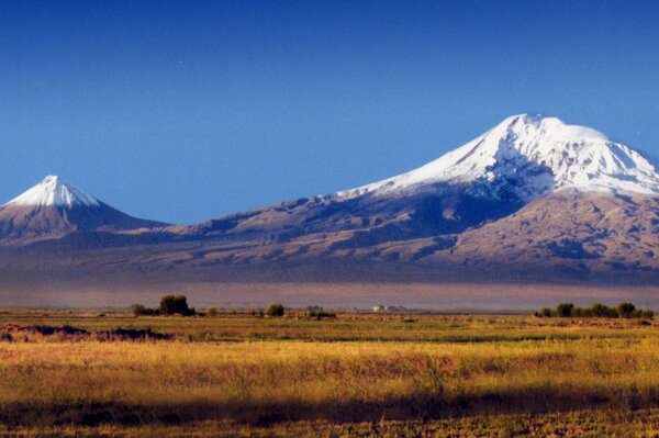 Złota łąka na tle góry Ararat