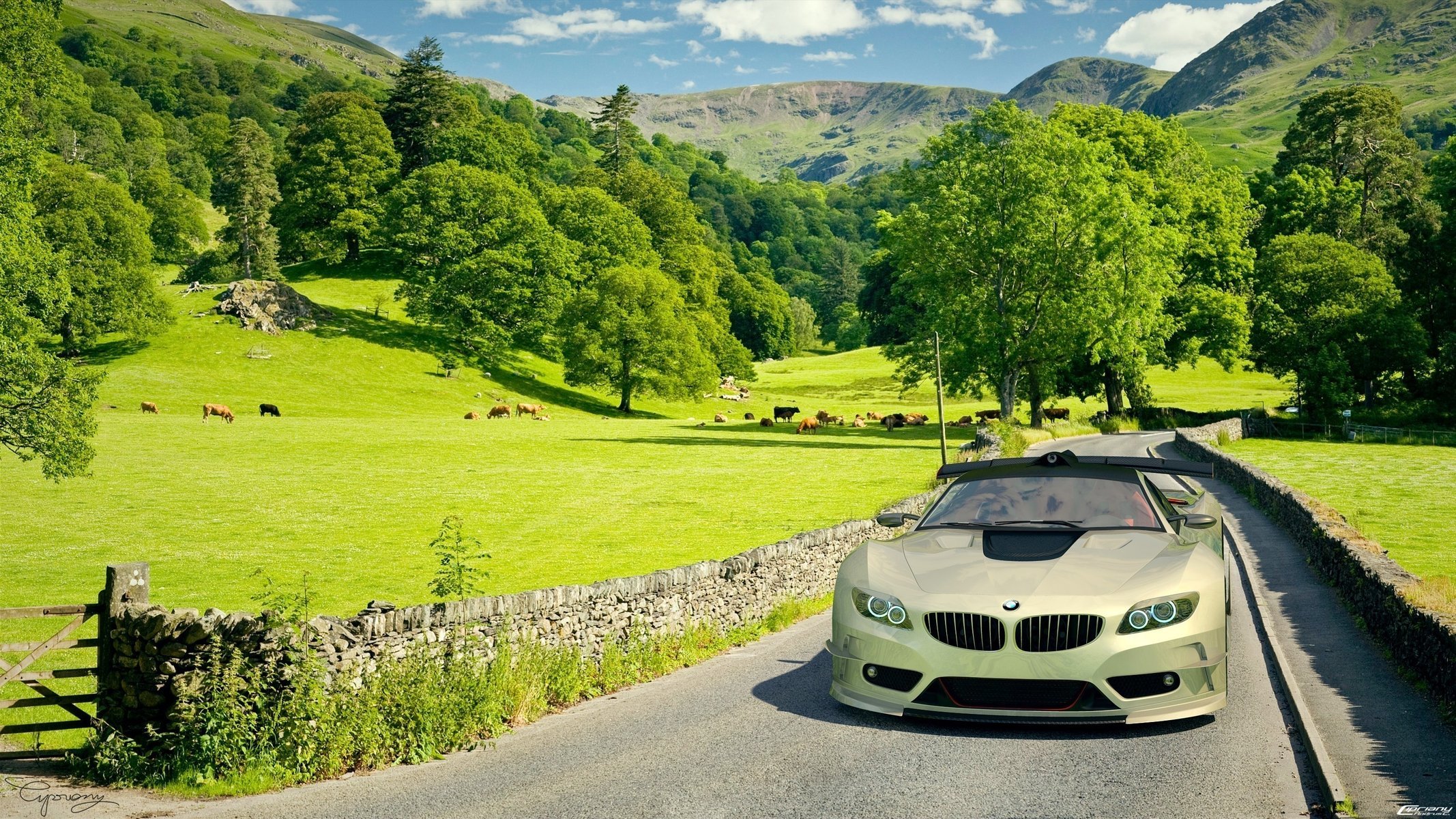 pole bmw samochód samochód samochód bmw