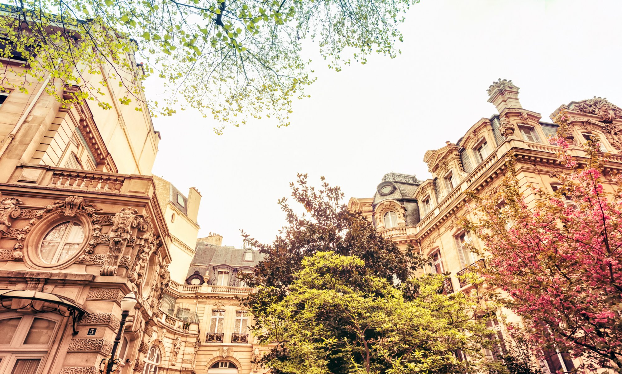 paryż francja miasto wiosna kwitnienie drzewa domy budynki architektura przyroda