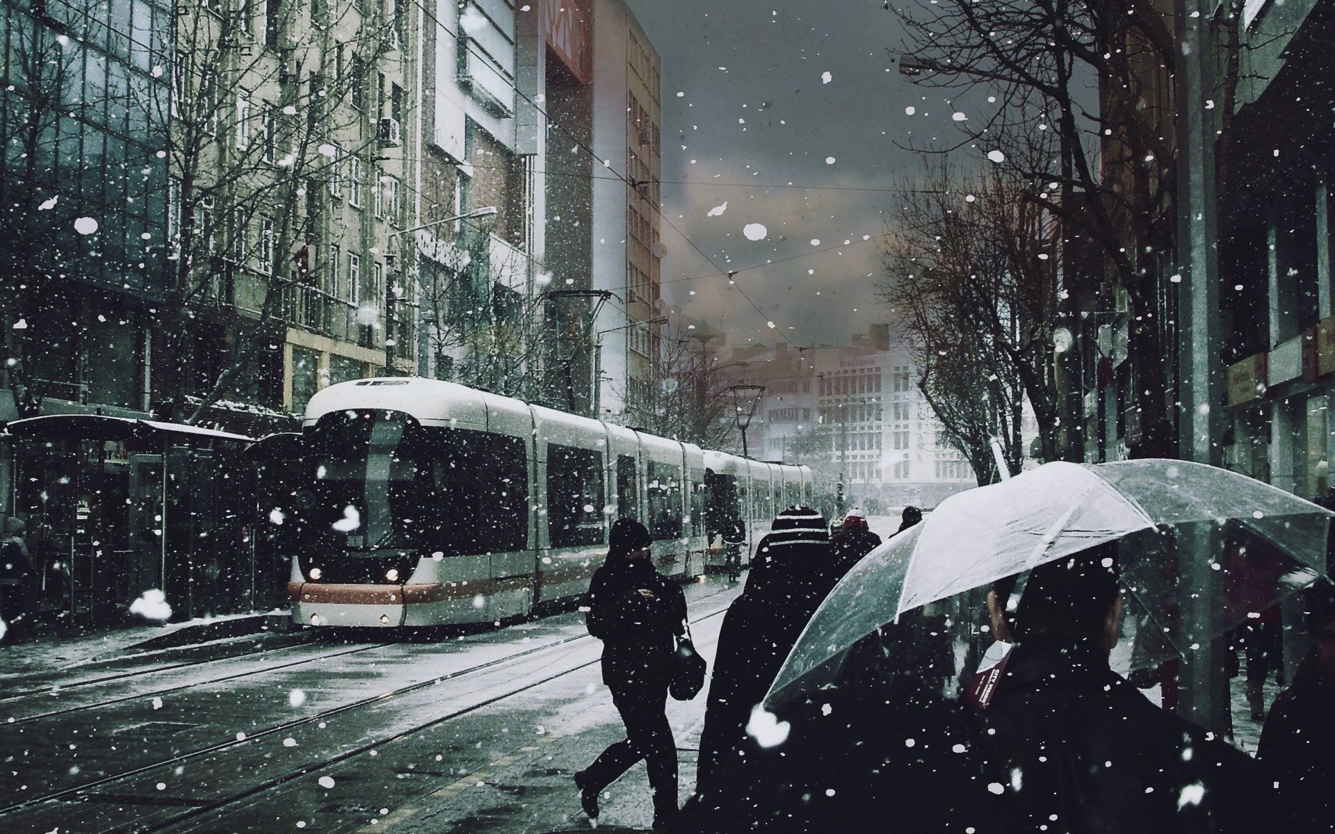 tramwaj ludzie śnieg parasole