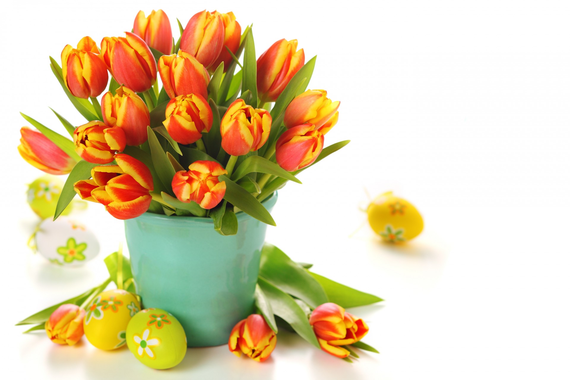 bukiet jajka wiadro kwiaty tulipany