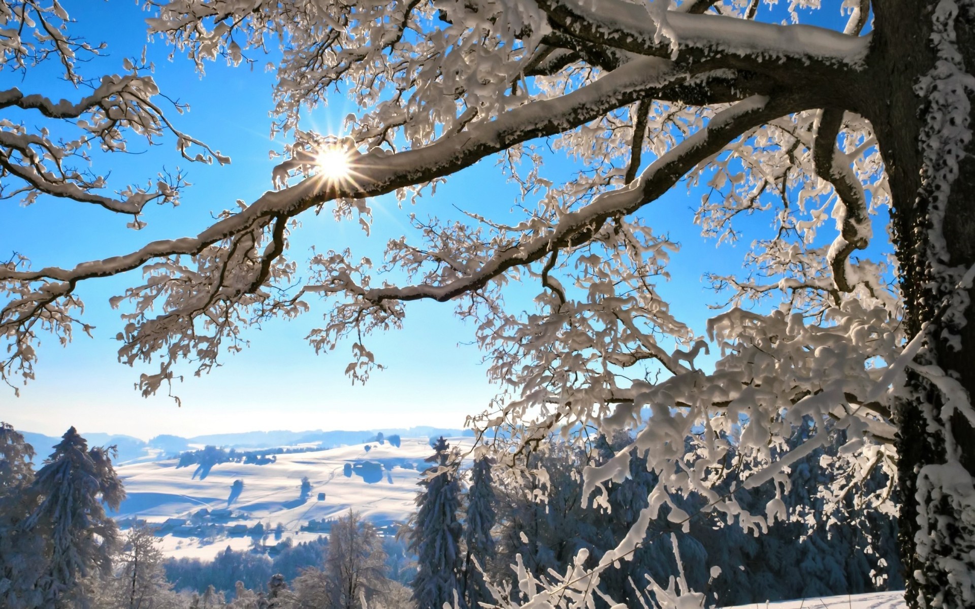 zima przyroda krajobrazy śnieg nowy rok