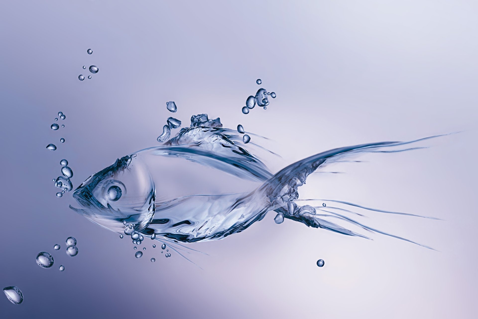 fish made сделан minimalism figure bubbles пузырьки water рыба вода