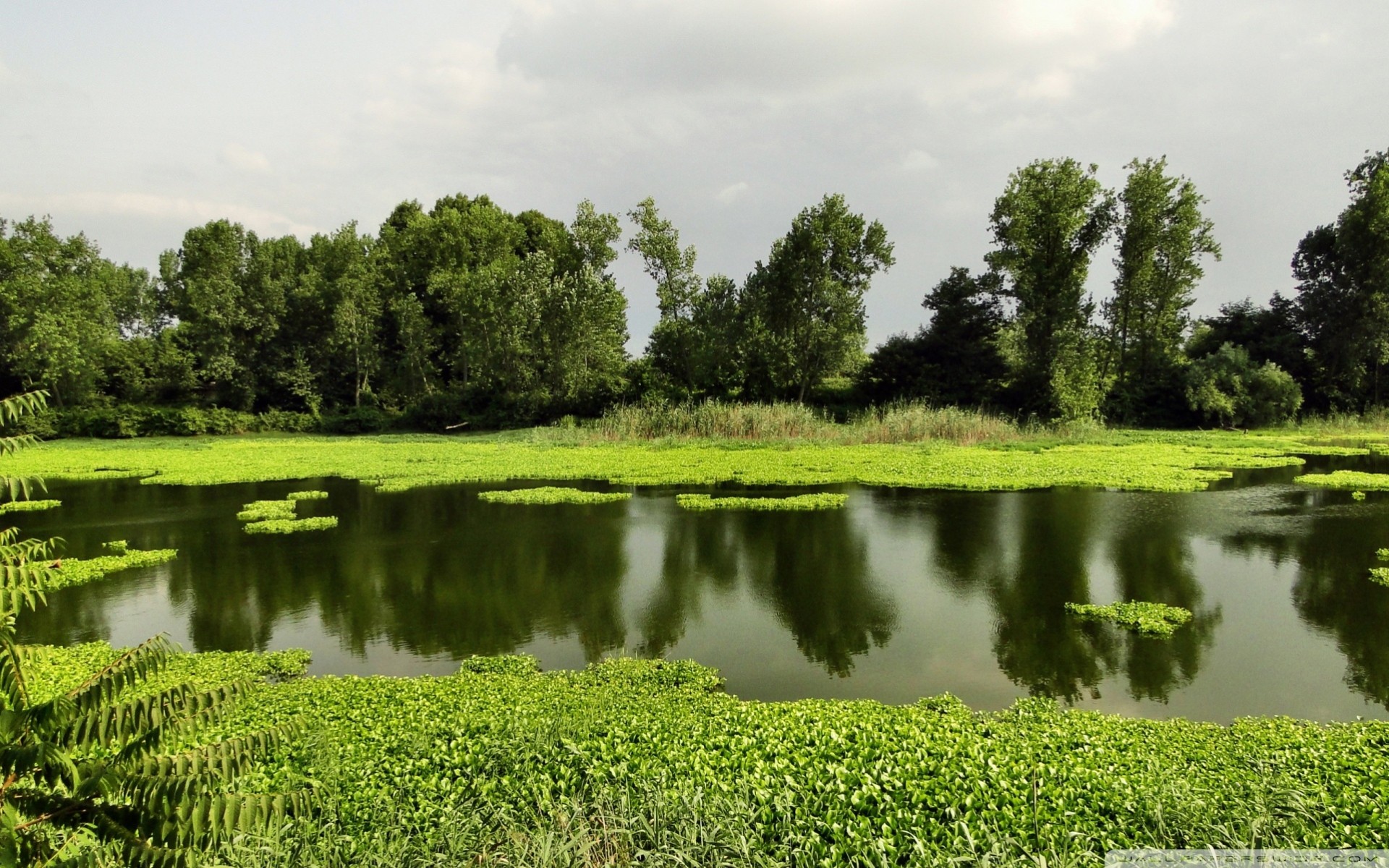 jezioro krajobraz lato natura