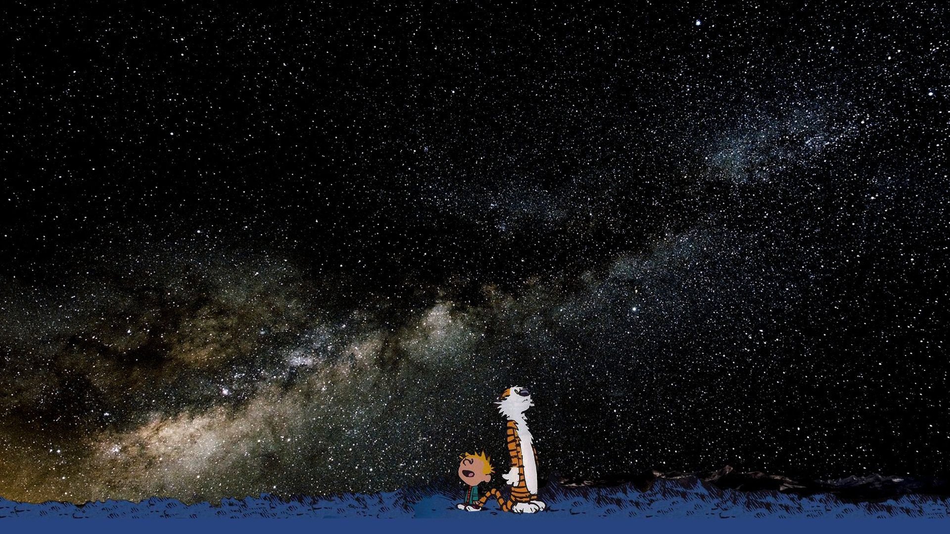 calvin and hobbs calvin and hobbes hobbes chłopiec gwiazdy tygrys