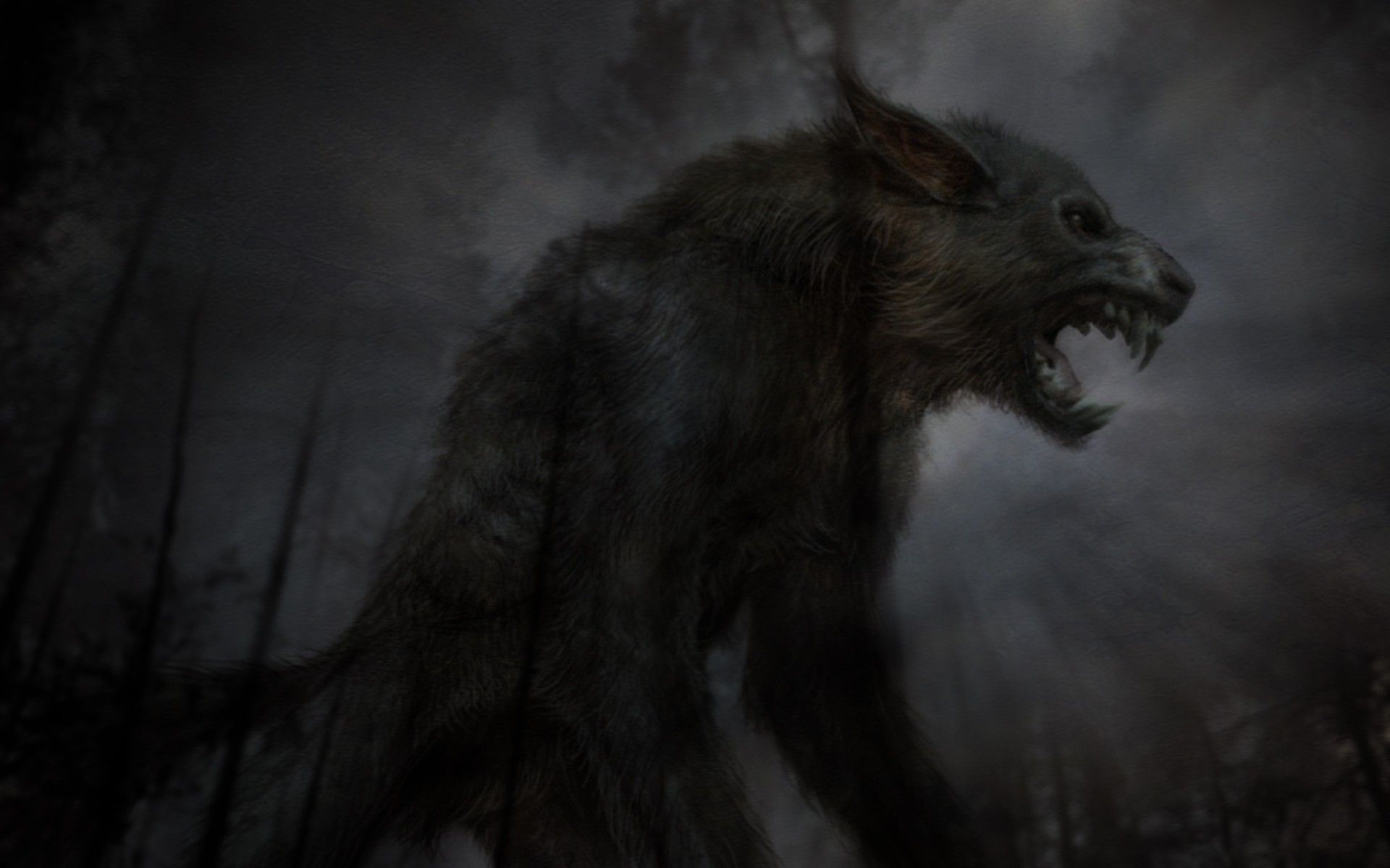 noc las wieloryby mrok