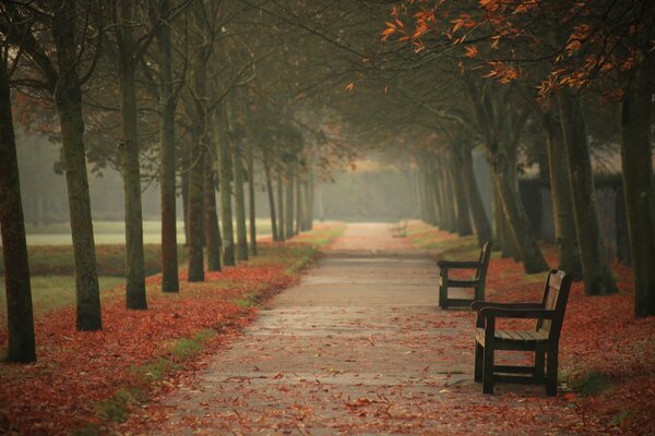 Jesienny park miejski z ławeczkami