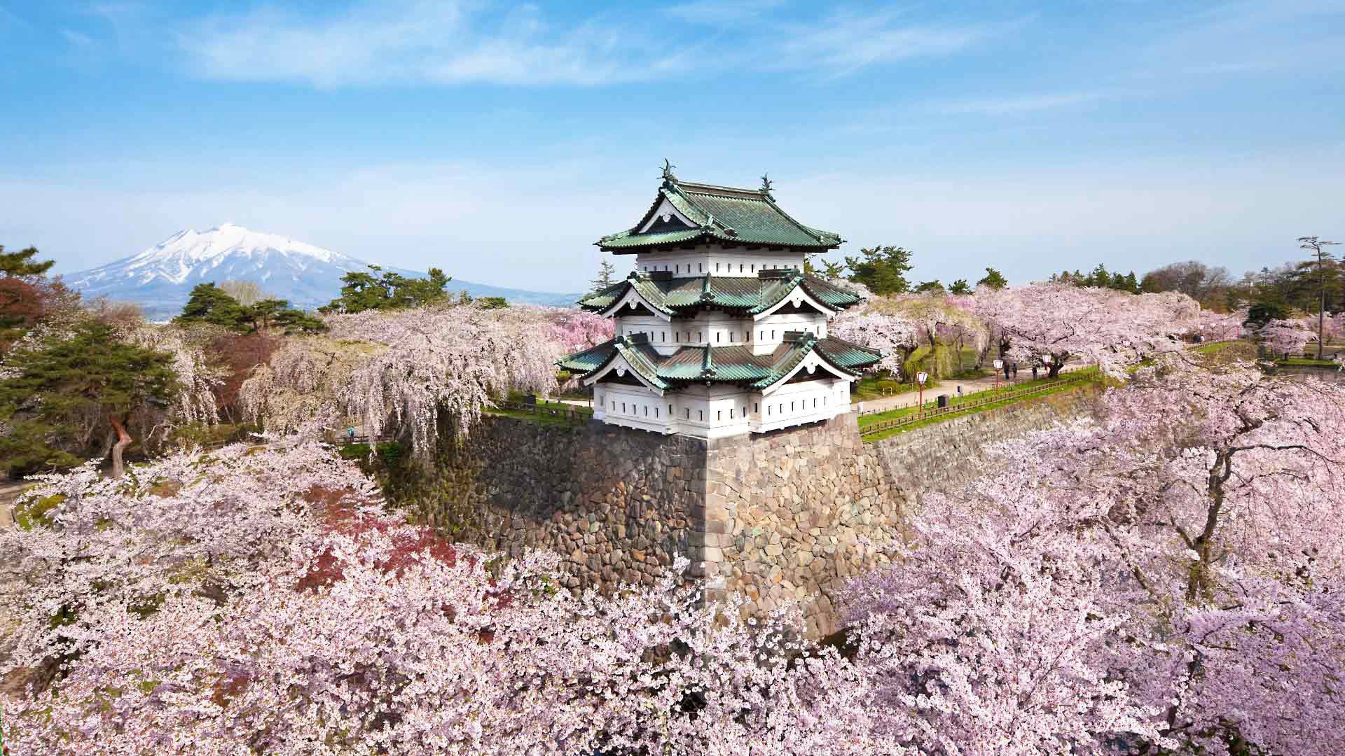 wiosna japonia kwitnienie