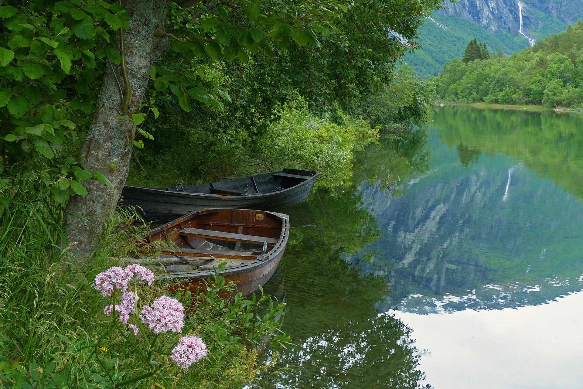 природа лето река лодки тишина рыбалка