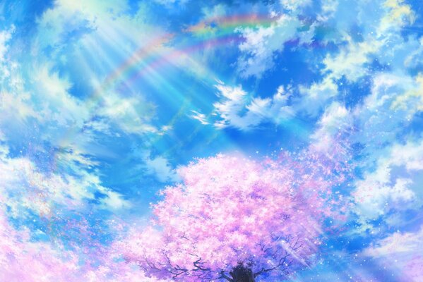 Różowa Sakura na tle błękitnego nieba