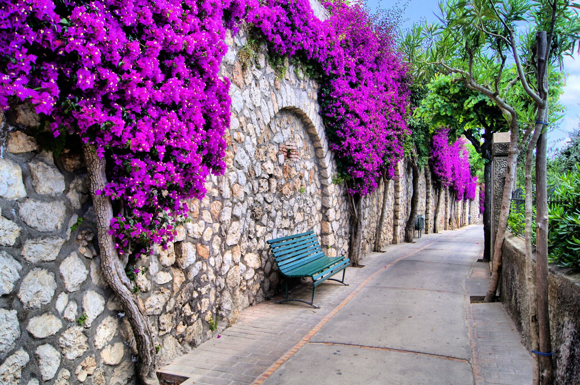 city streets bench город beautiful flowers trees italy красивый