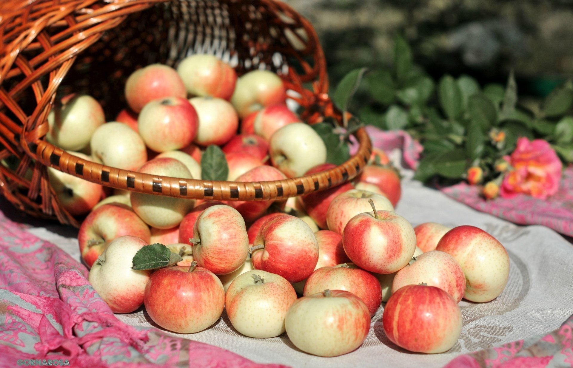 корзинка корзина яблоко яблоки обои еда apple