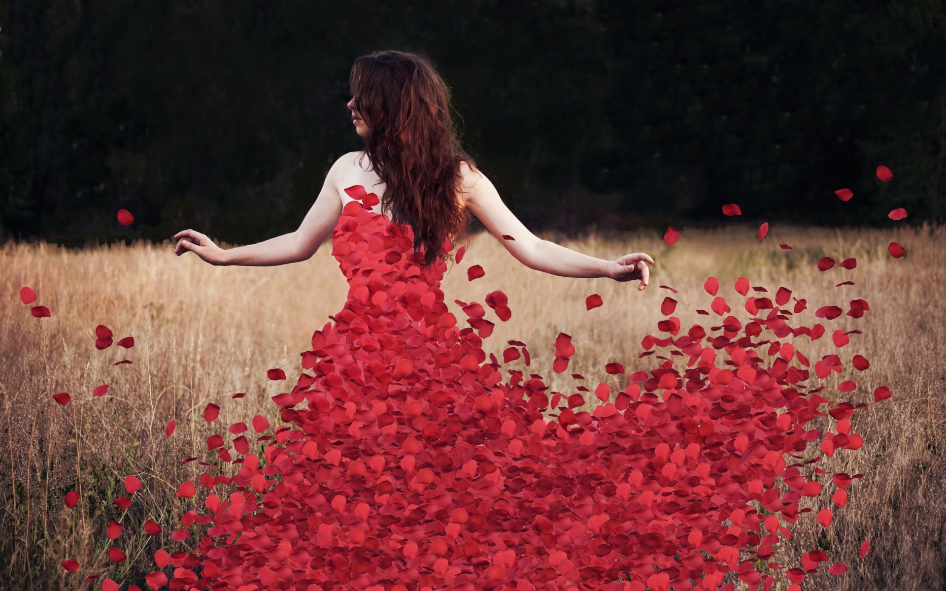 kwiaty rosedress płatki