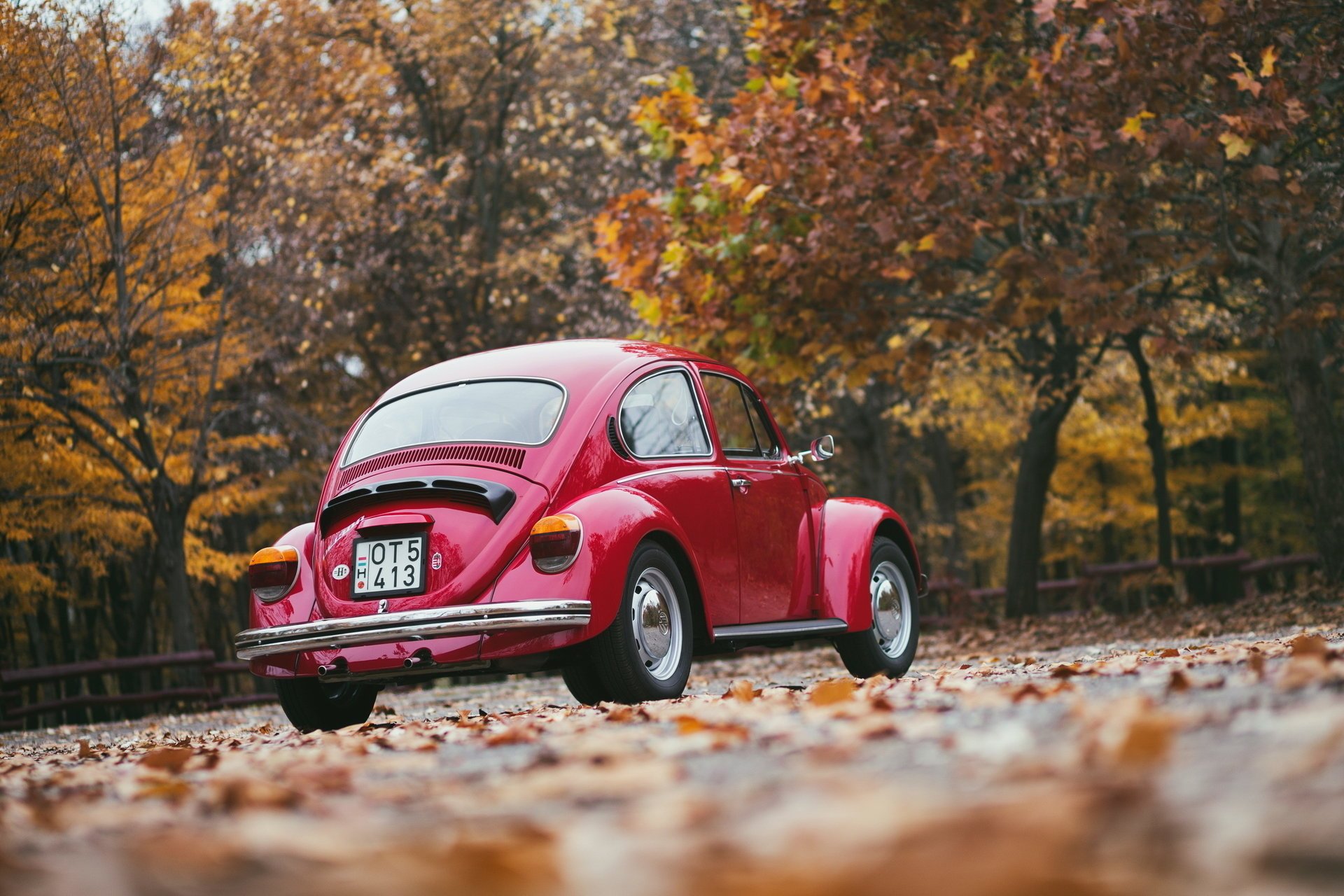 volkswagen ретро осень красный сзади листья