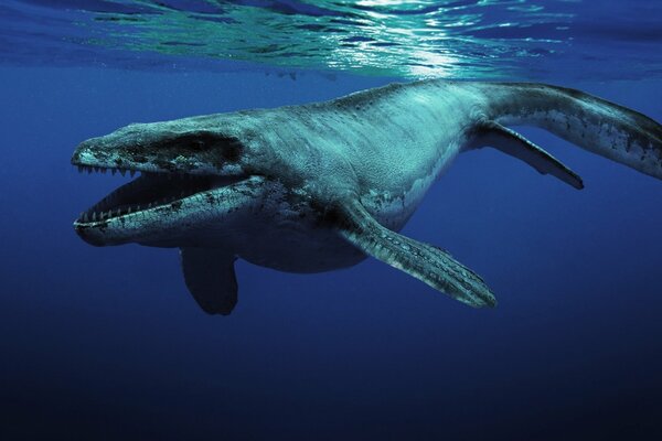 Sea Life Monster tapety