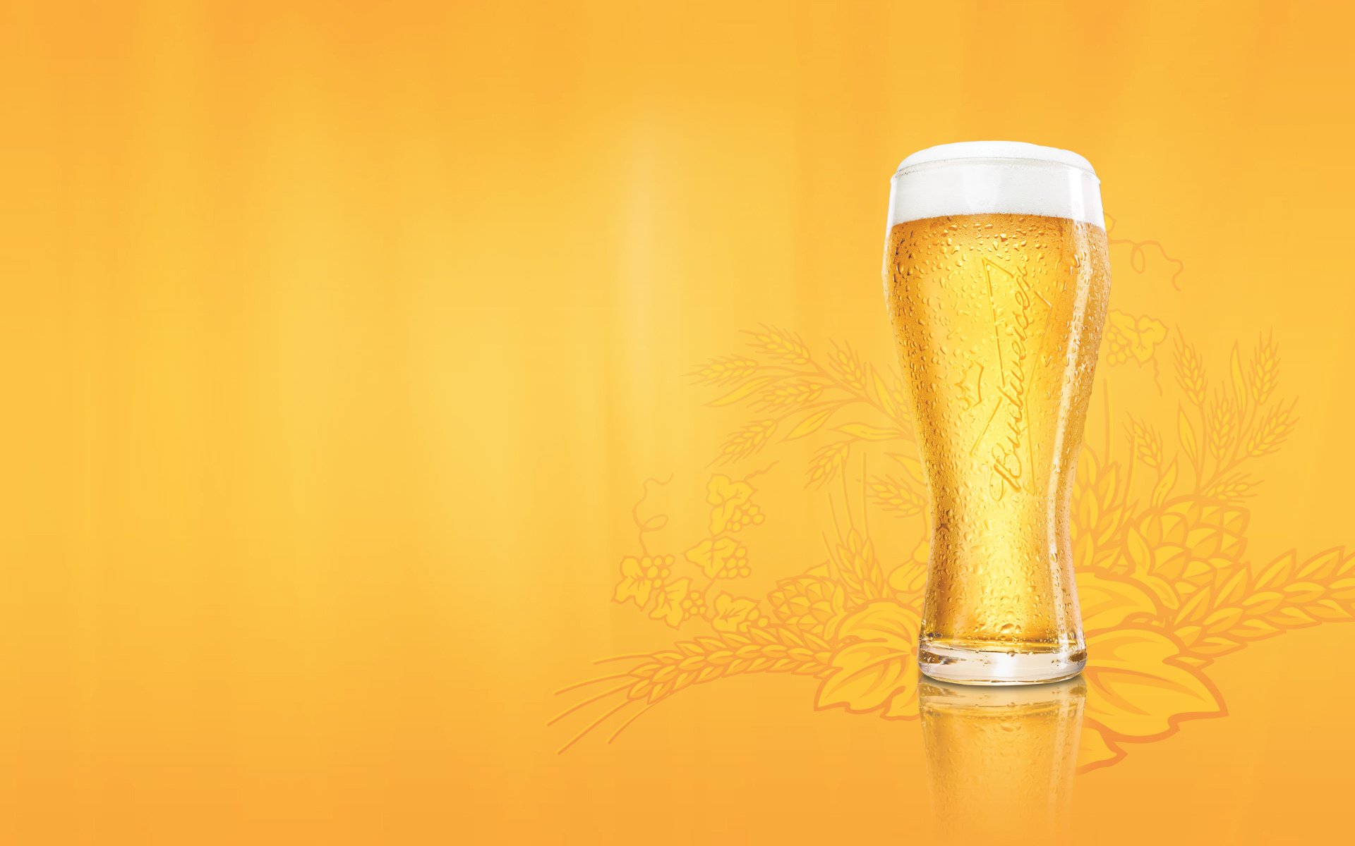 стакан пиво budweiser пена