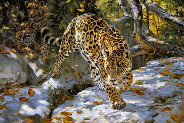 Jaguar jesienią przygotował się do skoku