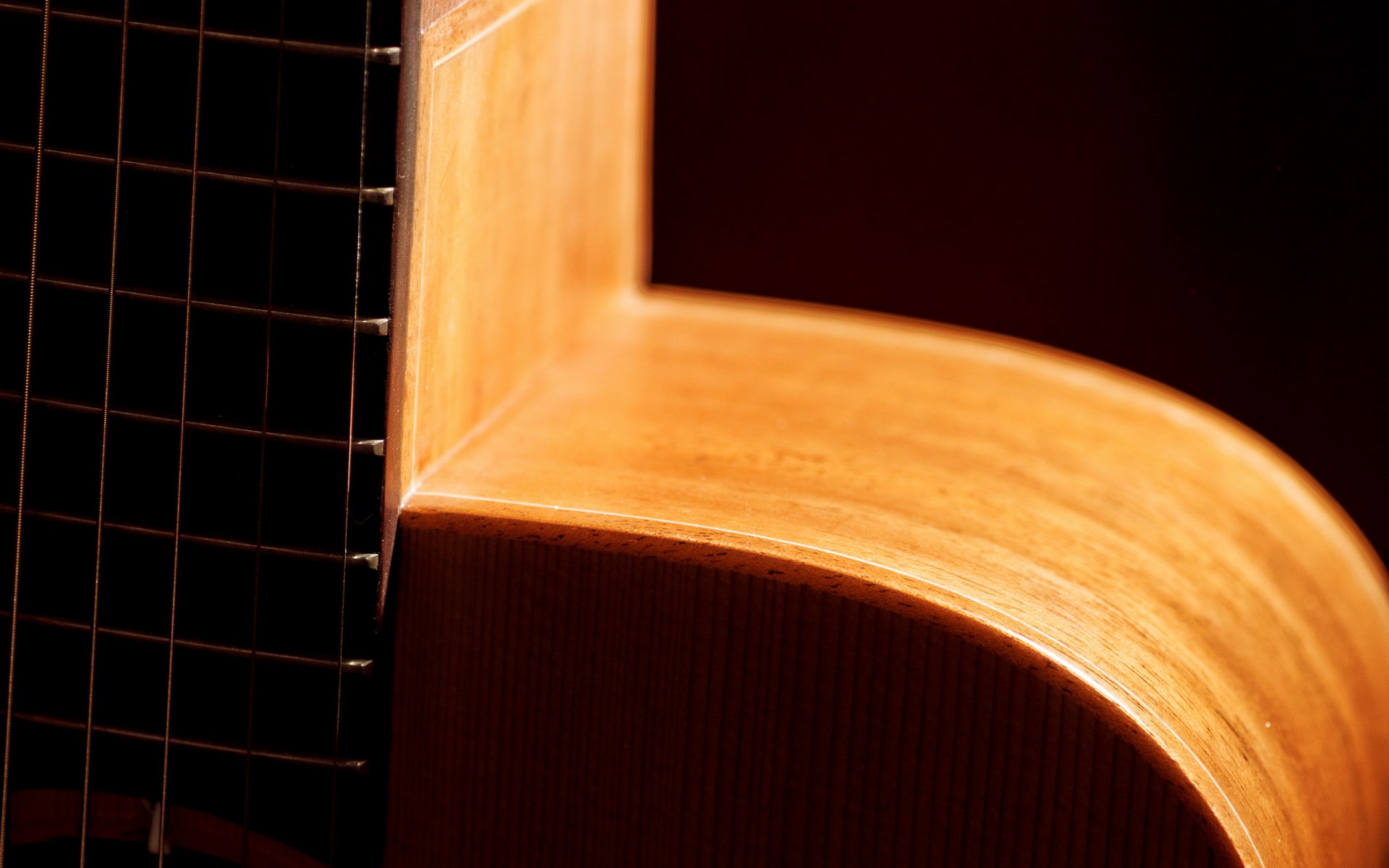 gitara makro muzyka
