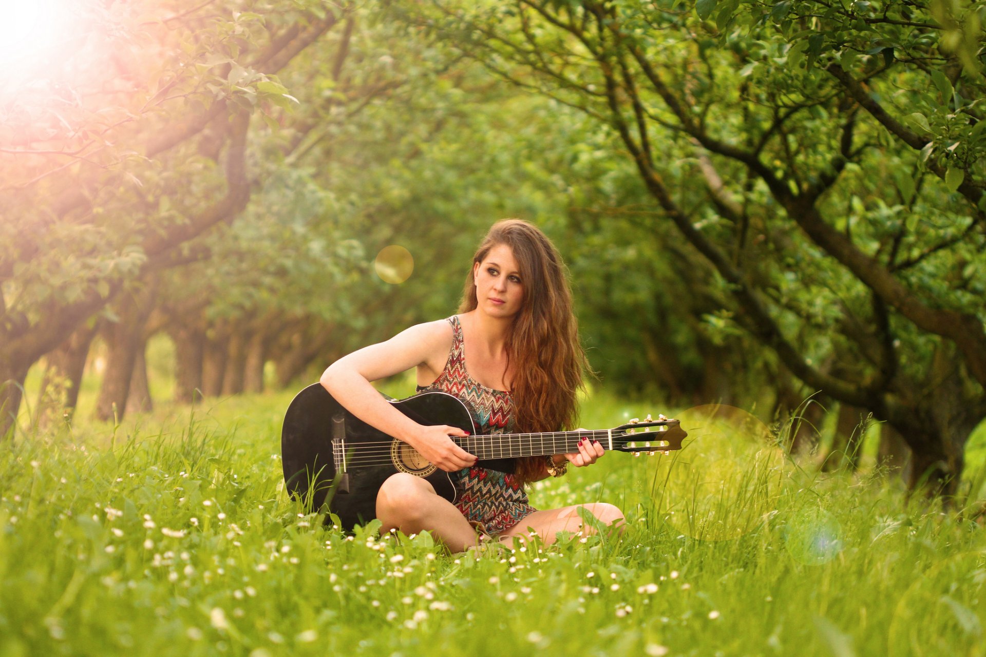 fanny gitara muzyka