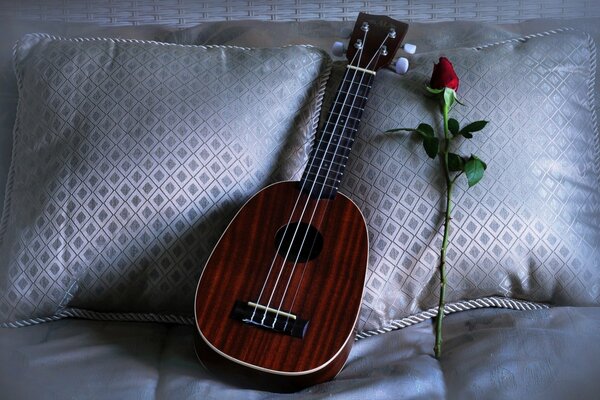 Na poduszce leży ukulele i róża