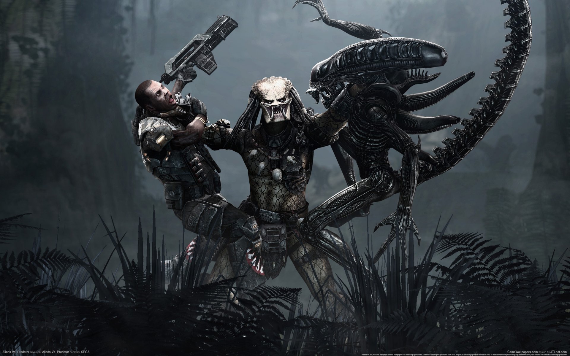 tapety gry alien predator człowiek