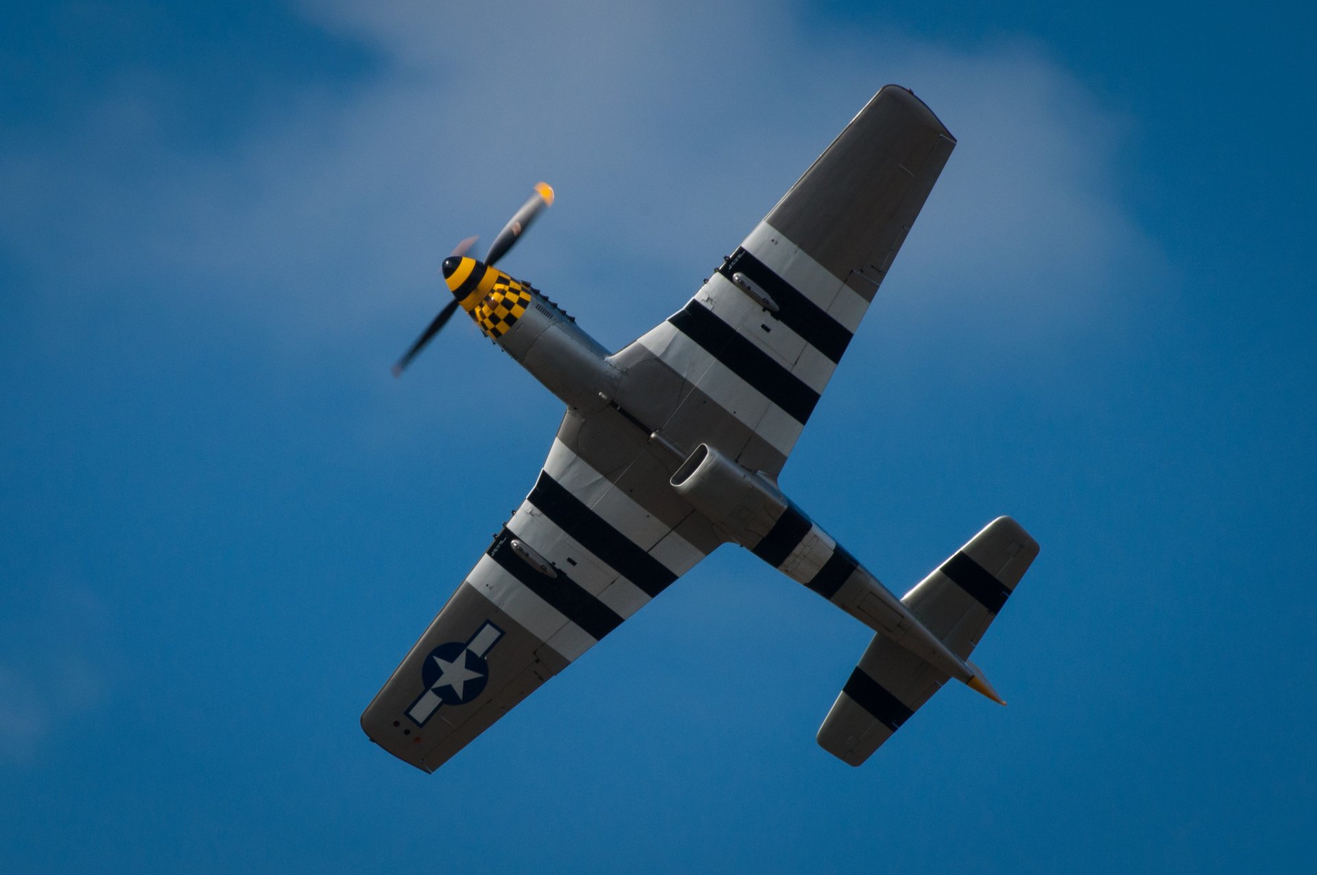 p-51d mustang pojedynczy myśliwiec skrzydła