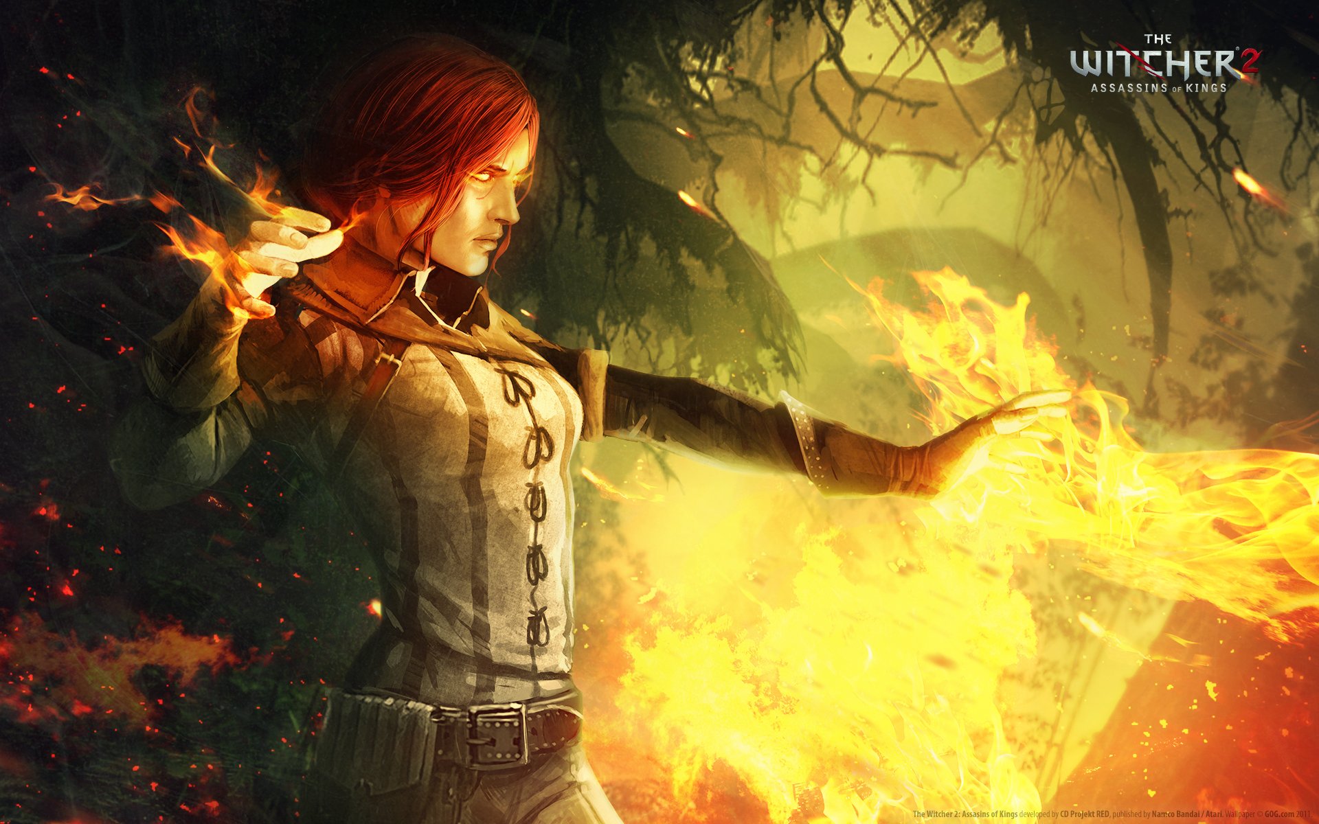 the witcher 2 убийцы королей трисс огонь