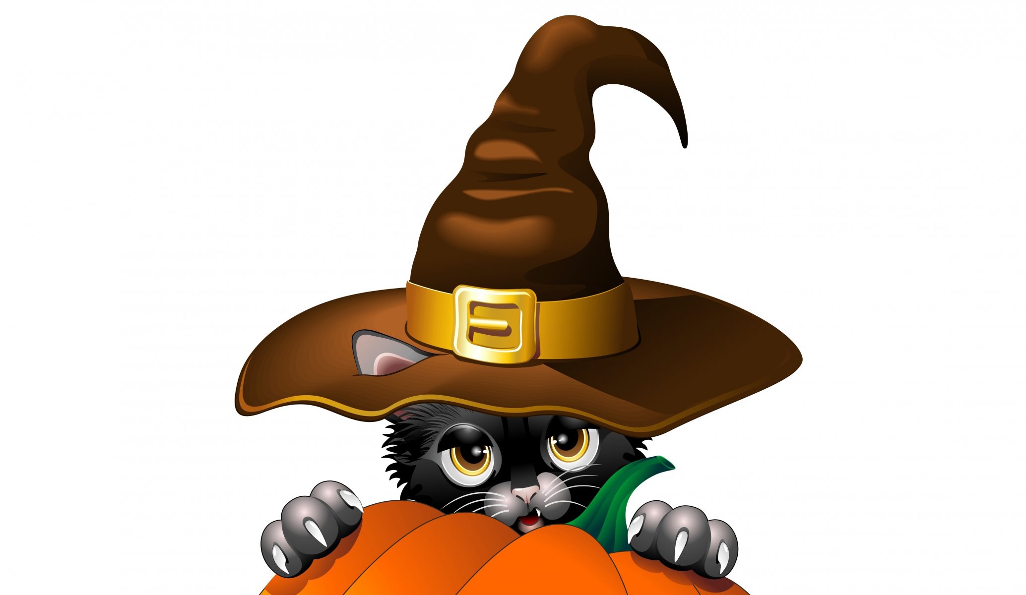 halloween wakacje dynia wygląd czarny kot pazury uszy kapelusz wektor