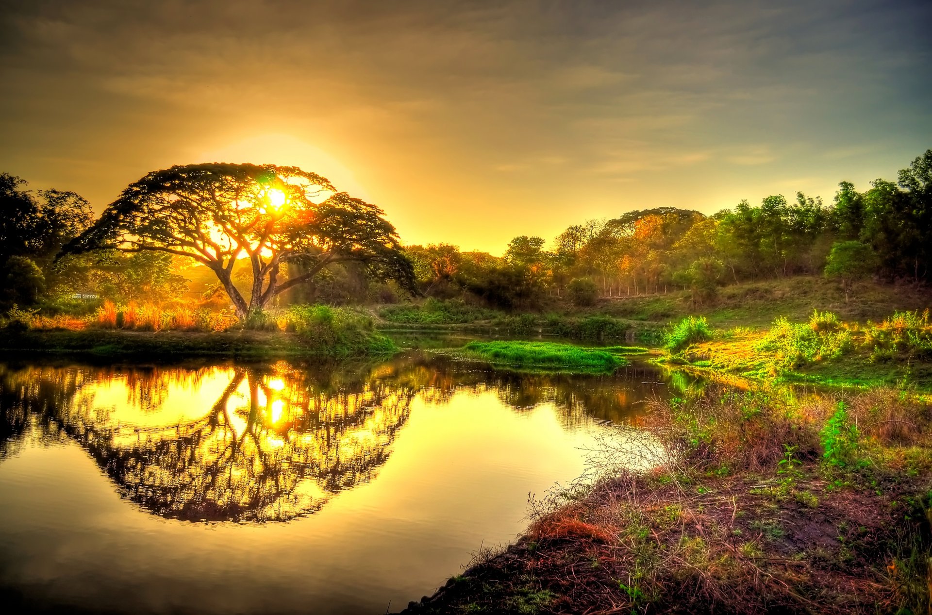 небо закат солнце дерево лес пруд отражение