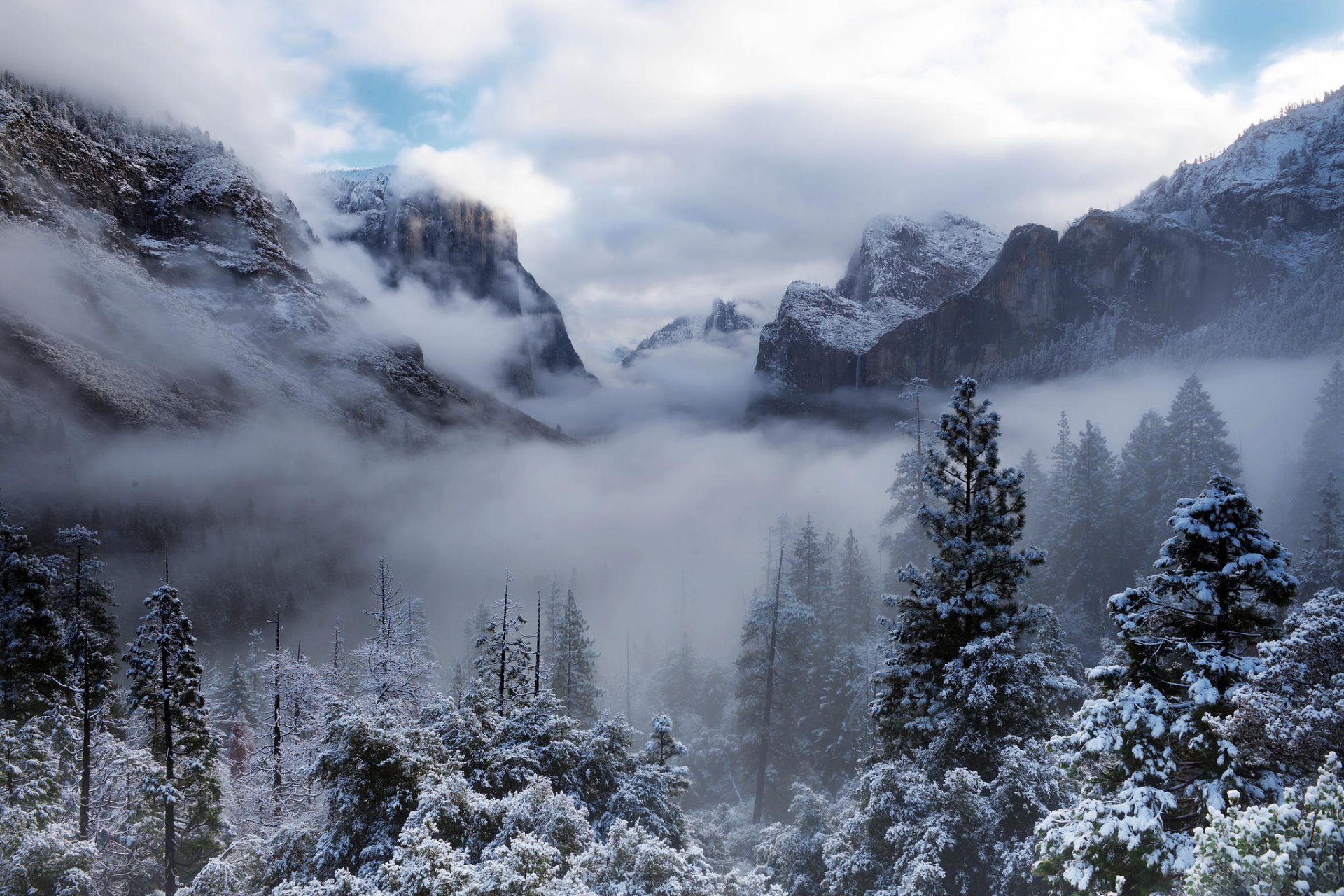 park narodowy yosemite usa kalifornia yosemite drzewa góry las zima śnieg chmury mgła natura