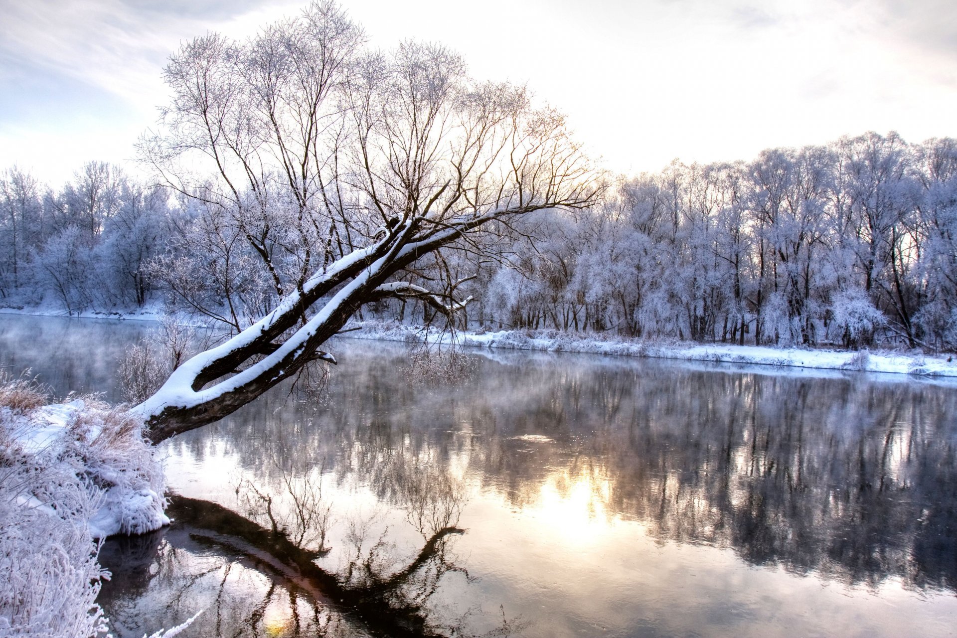 zima rzeka oddział zamarznięty las natura krajobraz zimna pora roku cudów zima zimno mróz pokryte śniegiem drzewa rzeka natura krajobraz odbicie