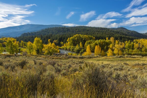 Park Narodowy w Wyoming