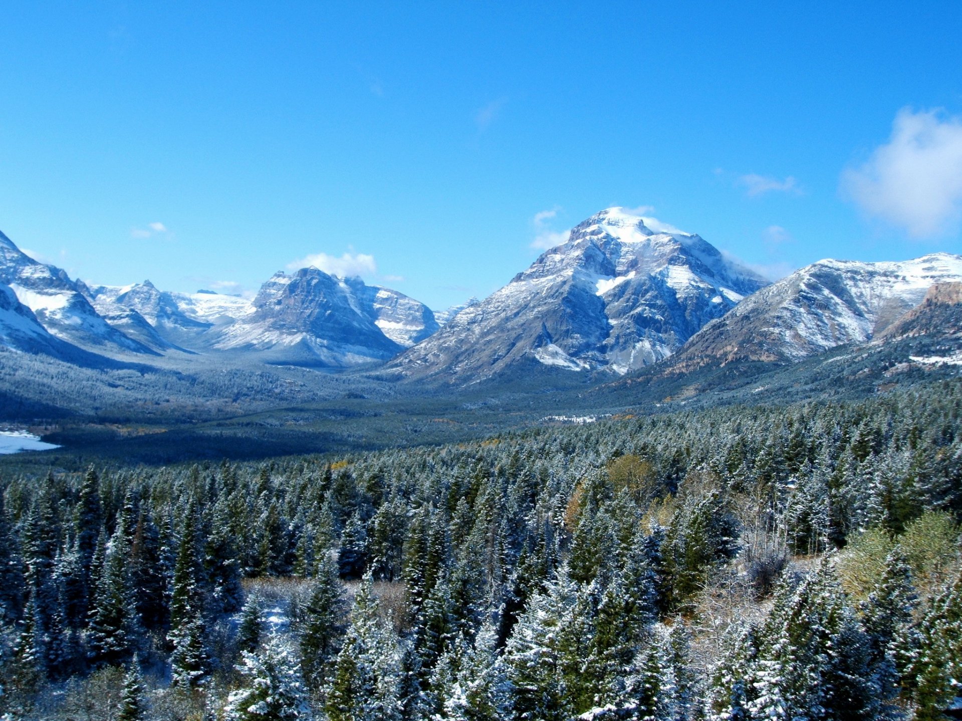 usa góry las niebo krajobraz lodowiec montana natura