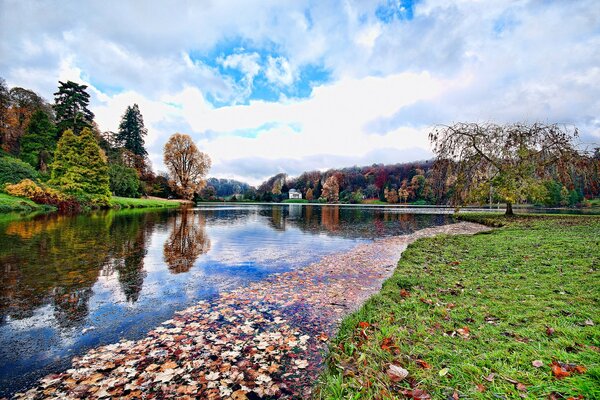 Anglia Wiltshire staw i Drzewa